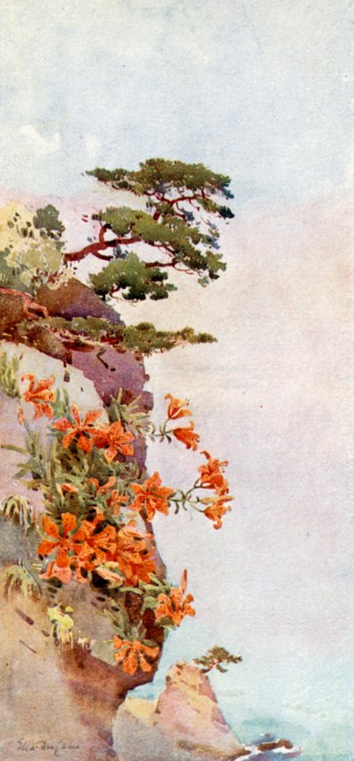 Lilies on the Rocks, Atami (väri litho) tekijältä Ella Du Cane