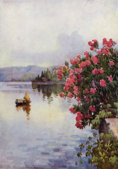 Oleanterit (väri litho) tekijältä Ella Du Cane