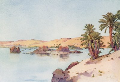 Kaihiallas Elephantine Islandilta (väri litho) tekijältä Ella Du Cane