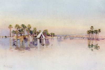 Linnoitus tulvivalta maalta pyramidien juurella (väri litho) tekijältä Ella Du Cane