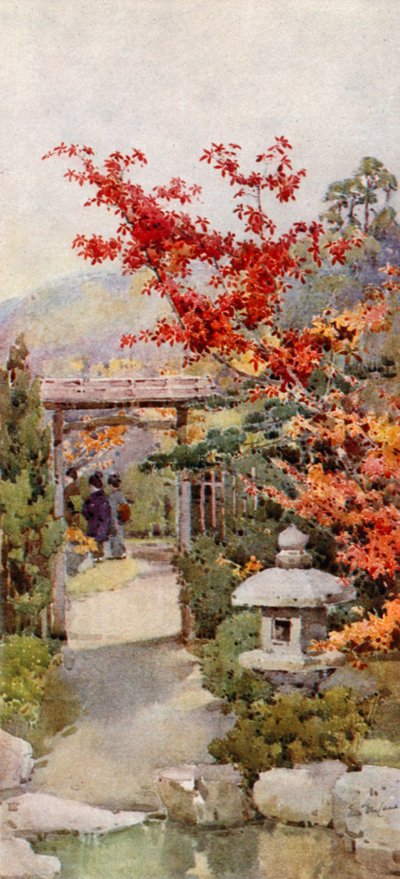 Scarlet Maple (väri litho) tekijältä Ella Du Cane