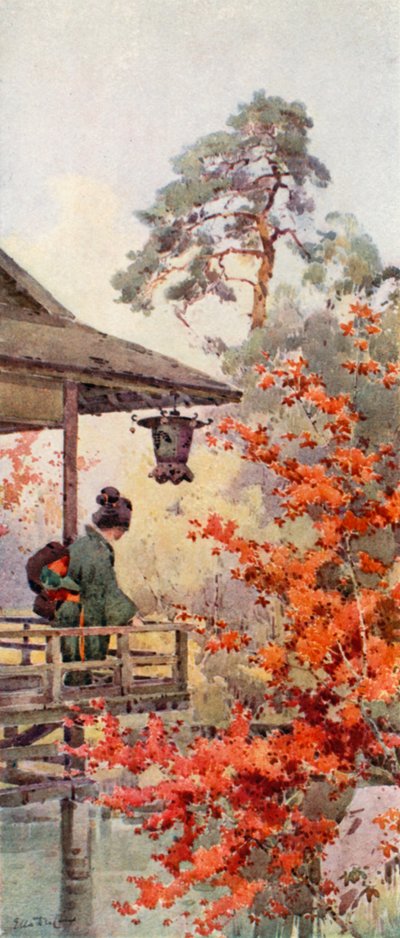 Vaahteroiden katselu (väri litho) tekijältä Ella Du Cane