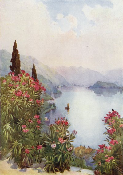 Villa Serbelloni, Comojärvi (väri litho) tekijältä Ella Du Cane