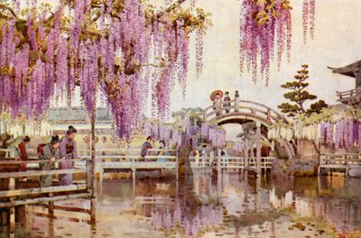 Wistaria, Kameido (väri litho) tekijältä Ella Du Cane