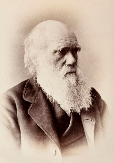 Charles Darwin: englantilainen luonnontieteilijä tekijältä Elliott und Fry Studio