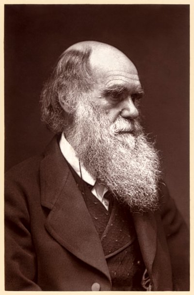 Charles Darwin: englantilainen luonnontieteilijä tekijältä Elliott und Fry Studio