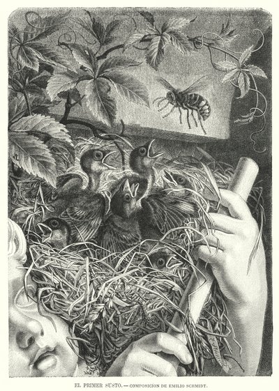 Ensimmäinen pelottelu (litho) tekijältä Emil (after) Schmidt