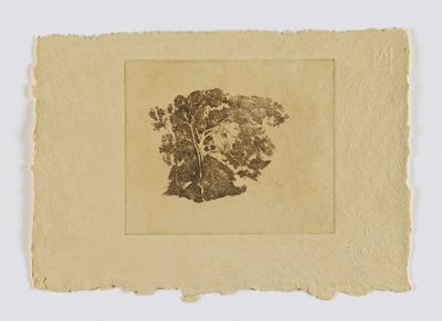 Puututkimus (fm. portfolio) tekijältä Emil Carlsen