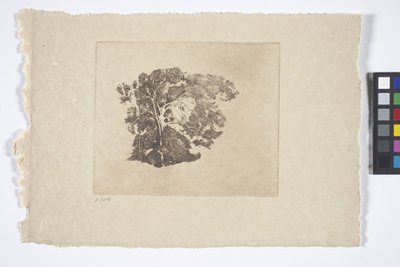 Puututkimus (muste) tekijältä Emil Carlsen