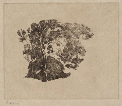 Puututkimus tekijältä Emil Carlsen