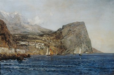 Dalmatian rannikkomaisema tekijältä Emil Jakob Schindler