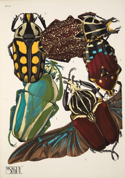 Levy 11, Insectes, pub. 1930-luku (pochoor print) tekijältä Émile Allain Séguy