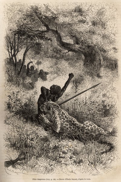 Leopardi hyppää miehen päälle ja puree häntä julmasti hänen selkäänsä Bambaren (Kongo) läheisyydessä. Kaiverrus Emile Bayardin piirustuksen mukaan, joka havainnollistaa David Livingstonen viimeistä päiväkirjaa (1813-1873), vuosina 1866-1873, julkaistu lehd tekijältä Emile Antoine Bayard