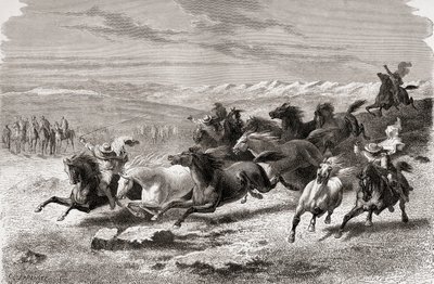 Argentiinalaiset gauchot keräävät villihevosia, kuvitus teoksesta "The World in the Hands", kaiverrettu Charles Laplante (k.1903), julkaistu 1878 tekijältä Emile Antoine Bayard