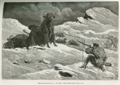 Villi jakinmetsästyskohtaus, Emile Bayardin piirros havainnollistamaan everstiluutnantti Przewalskin matkaa Mongoliaan ja Tangoutien maahan vuosina 1870–1873. Kaiverrus kirjassa Le tour du monde tekijältä Emile Antoine Bayard