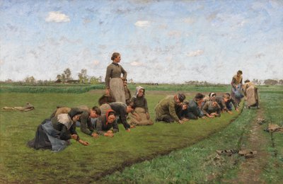 Pellavan kitkeminen Flanderissa tekijältä Emile Claus