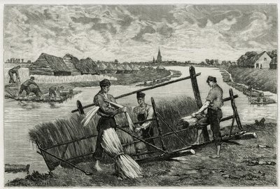 Pellavan ruoste (maserointi, joka helpottaa kuoren irtoamista varresta) Lysissä (joki Ranskan ja Belgian pohjoispuolella). Kaiverrus Emile Claus, havainnollistamaan tarinaa "" La Belgique", kirjoittaja Camille Lemonnier (1844) -1913), kirjailija ja taidekr tekijältä Emile Claus