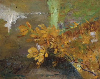 P1476, alkaen tekijältä Emilie Mediz-Pelikan