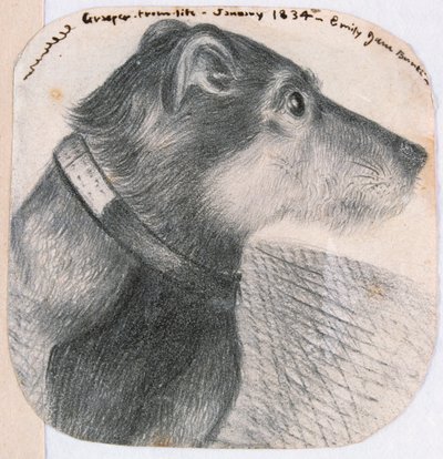 Grasper, elämästä tekijältä Emily Bronte