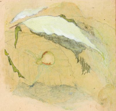 Posliinivalkoinen hämähäkki, 1800-luvun loppu - 1900-luvun alku. tekijältä Emma Beach Thayer