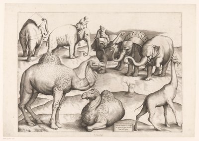 Kahdeksan eläintä Eläimistä antiikkisiin seinämaalauksiin (sarjan nimi) Speculum Romanae Magnificentiae (sarjan nimi) tekijältä Enea Vico (attributed to)