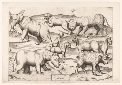 Yhdeksän eläintä Eläimistä antiikkiin seinämaalauksiin (sarjan nimi) Speculum Romanae Magnificentiae (sarjan nimi) tekijältä Enea Vico (attributed to)