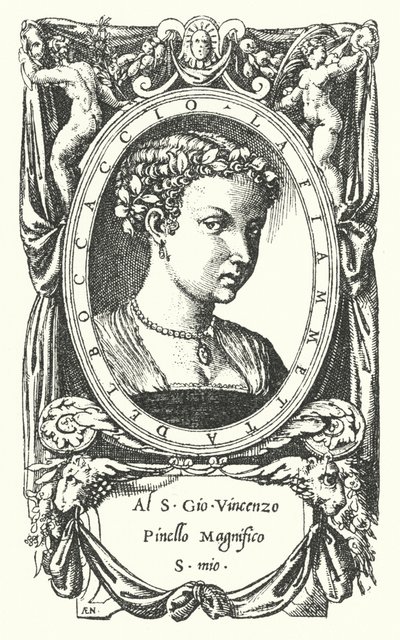 Lady Fiammetta, Madonna Fiammettan Giovanni Boccacciosin romaanin Elegia aiheena tekijältä Enea Vico