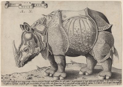 Sarvikuono tekijältä Enea Vico after Albrecht Dürer
