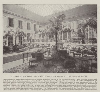 Tämän päivän muodikas lomakohde, Palm Court Carlton-hotellissa tekijältä English Photographer
