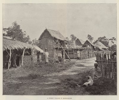 Metsäkylä Madagaskarilla tekijältä English Photographer