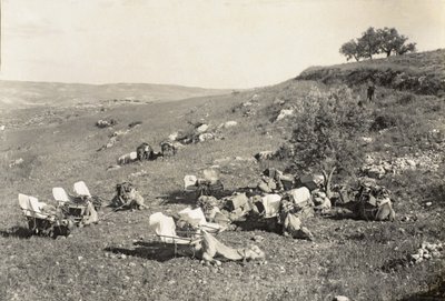 Ambulanssikamelit, n. 1916-1919 (mv/w kuva) tekijältä English Photographer