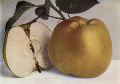 Apple, Lord Derby (värikuva) tekijältä English Photographer