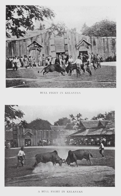 Härkätaistelu Kelantanissa (m/w kuva) tekijältä English Photographer