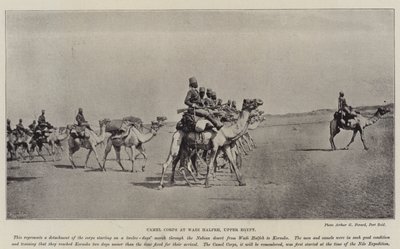 Kamelijoukot Wadi Halfehissa, Ylä-Egyptissä tekijältä English Photographer