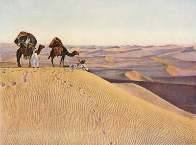 Kameleita Saharassa (värillinen kuva) tekijältä English Photographer