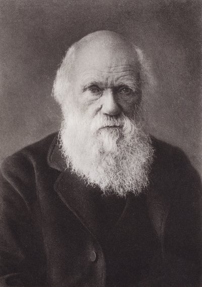 Charles Darwin, retrat, c 1880 (foto b/n)finès tekijältä English Photographer