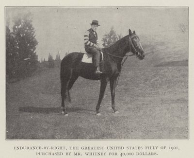 Endurance-by-Right, Yhdysvaltain vuoden 1901 suurin narttu, jonka herra Whitney osti 40 000 dollarilla tekijältä English Photographer