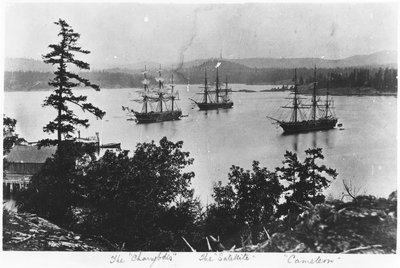 HMS Charybdis, HMS Satellite ja HMS Cameleon Esquimalt Royal Navy Dockyardissa, Brittiläisessä Kolumbiassa, noin 1880-luku tekijältä English Photographer