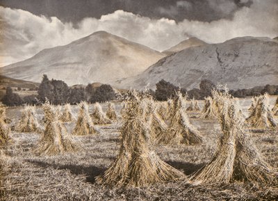 Sadonkorjuu Strathfillanissa Ben Moren ja Stobinianin alapuolella (värillinen kuva). tekijältä English Photographer