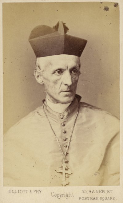 Henry Edward Manning tekijältä English Photographer