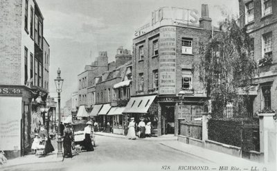 Hill Rise, Richmond: yleiskuva, 1895 tekijältä English Photographer