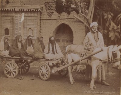 Hevoskärryt, Kairo, 1893 tekijältä English Photographer