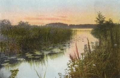 Hoveton Broad tekijältä English Photographer
