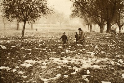 Hampstead Heathin roskainen nurmikko pyhäinpäivän jälkeisenä päivänä, kuvasta Wonderful London, julkaistu 1926-27 (syväpaino). tekijältä English Photographer