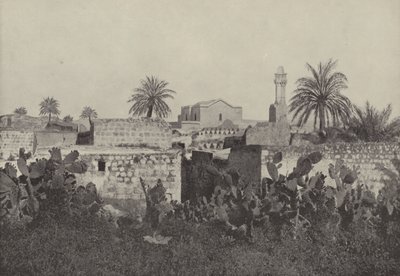 Lydda, Vanhan testamentin muinainen herra, jossa apostoli Paavali ennallisti sairaan Aenean tekijältä English Photographer