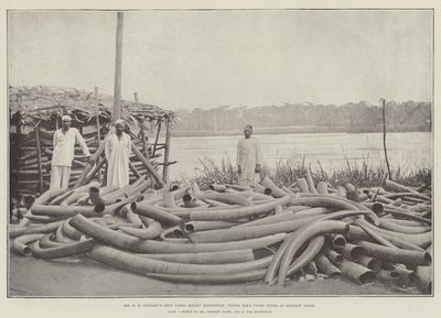 Mr H M Stanleys Emin Pasha Relief Expedition, Tippoo Tibs Ivory Store Stanley Fallsissa tekijältä English Photographer