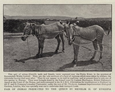 Etiopian Menelik II esitteli kuningattarelle seepraparin tekijältä English Photographer