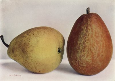 Päärynät, Emile d