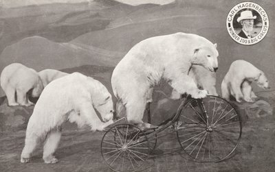 Kolmipyörällä ratsastava jääkarhu, Carl Hagenbeck