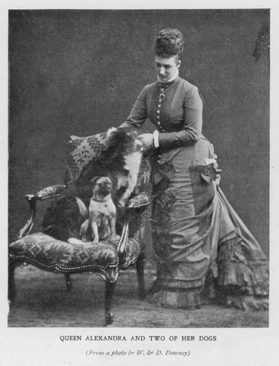 Kuningatar Alexandra ja kaksi hänen koiraansa (m/w kuva) tekijältä English Photographer